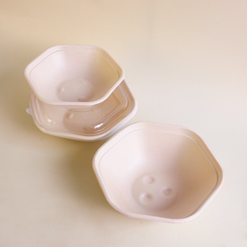 Hexagonal Sugarcane Bagasse Bowl | 750mL | 1100mL | 1300mL | 1600mL with PET Lid Recyclable Compostable