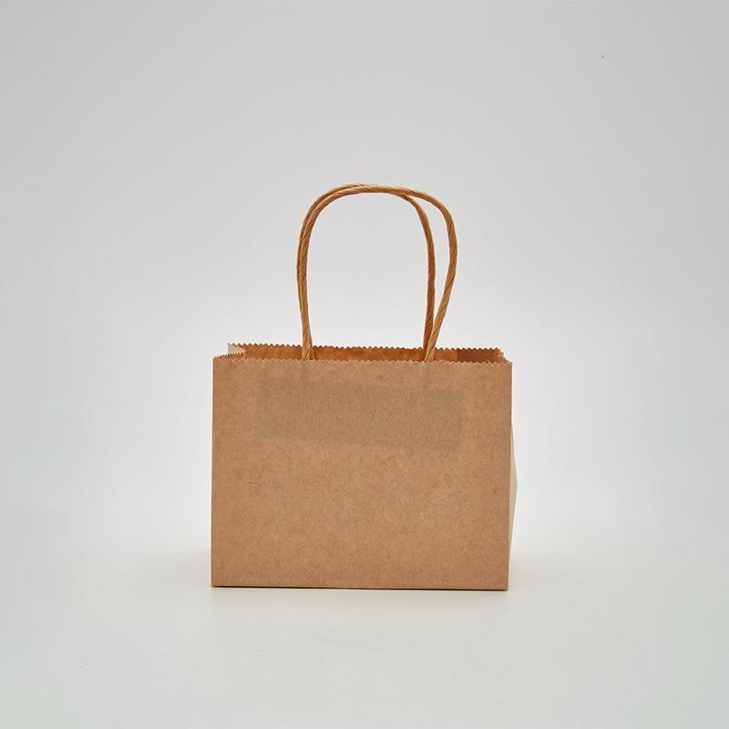 Custom Printed Twisted Handle Paper Bag - 图片 4