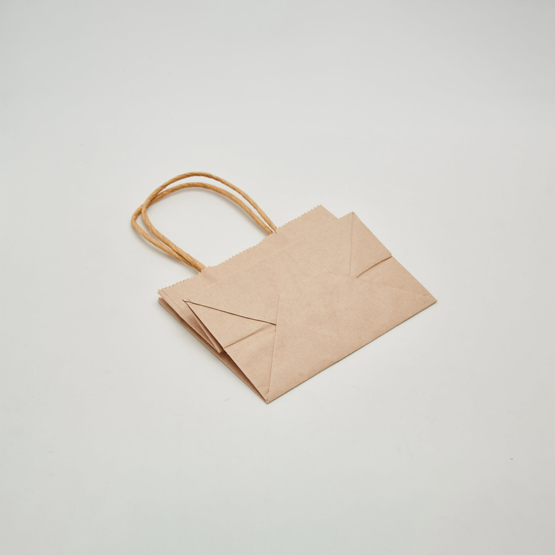 Custom Printed Twisted Handle Paper Bag - 图片 2