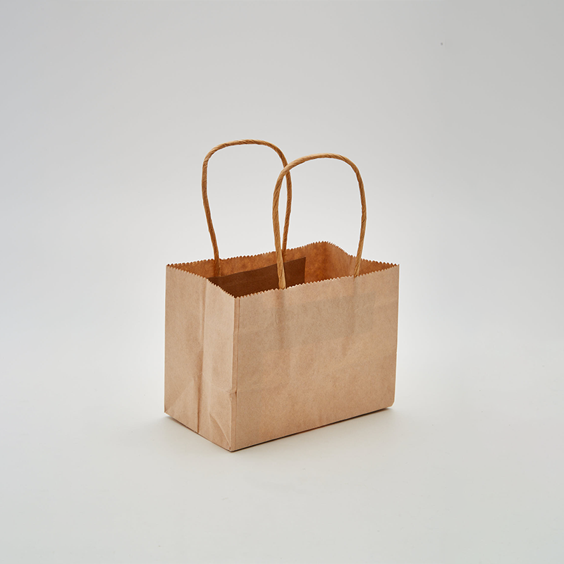 Custom Printed Twisted Handle Paper Bag