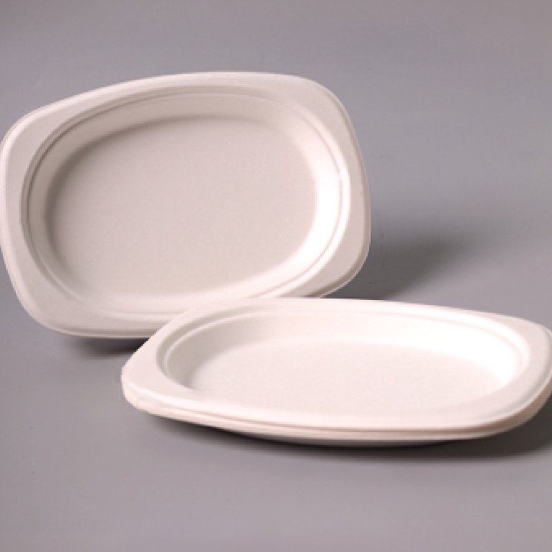 Sugarcane Bagasse 6" | 8" | 10" Oval Plate - 图片 2