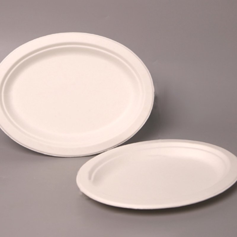 Sugarcane Bagasse 6" | 8" | 10" Oval Plate - 图片 3