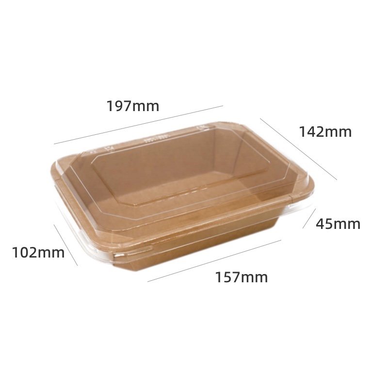 Biodegradable Paper Food Bowl with PLA Lid Eco Takeaway Packaging - 图片 5