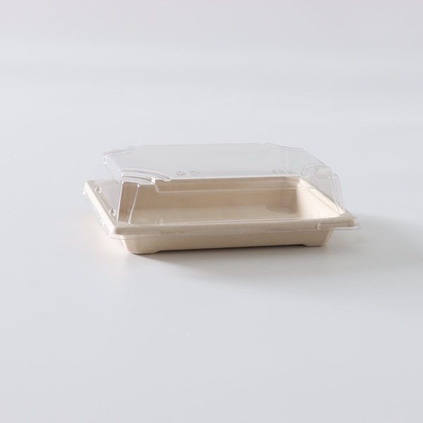 SNX Series Bagasse Sushi Tray with Lid | Biodegradable Sushi Takeaway Packaging - 图片 3